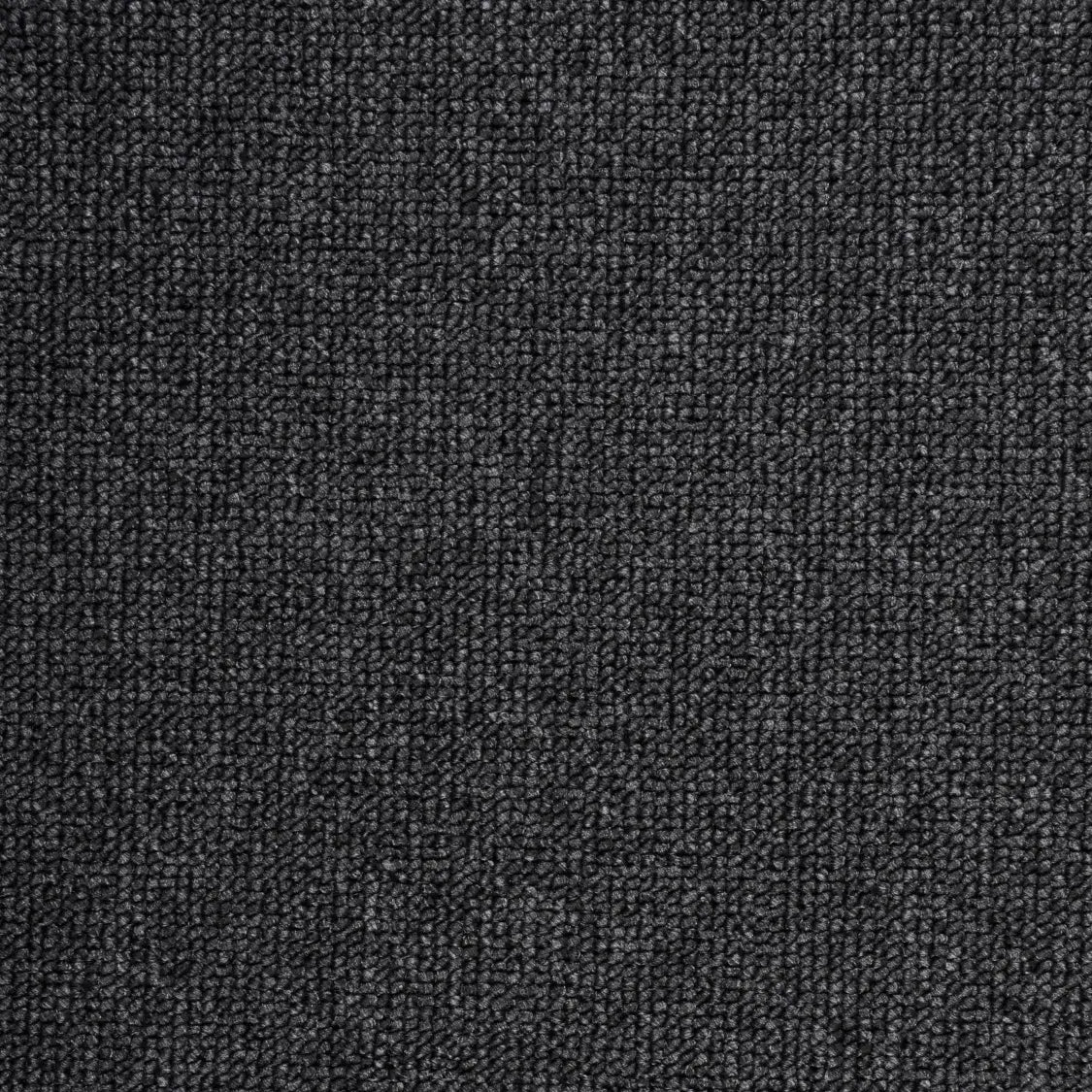 Ege Cantana Loop - Sort