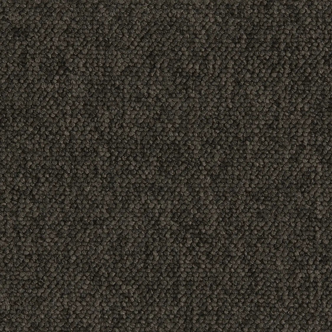 Ege Epoca Family Greyish