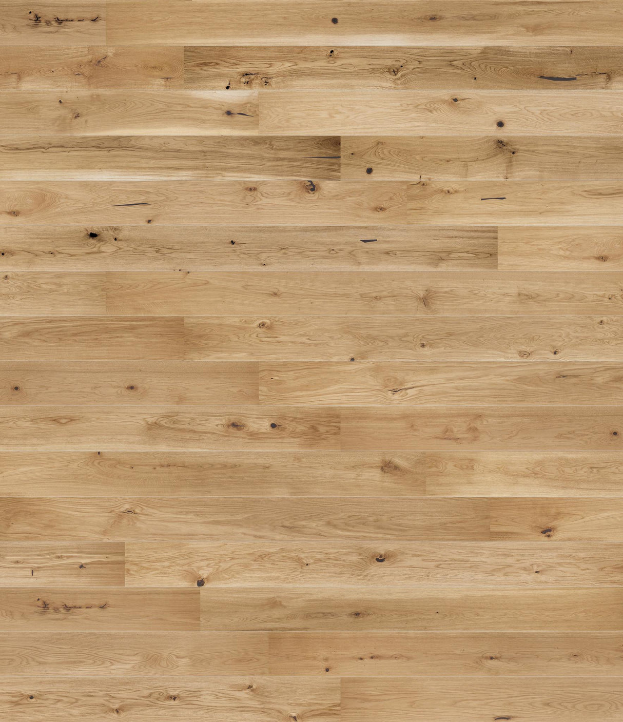 Nobel Eg Plank Natur matlak Various Børstet