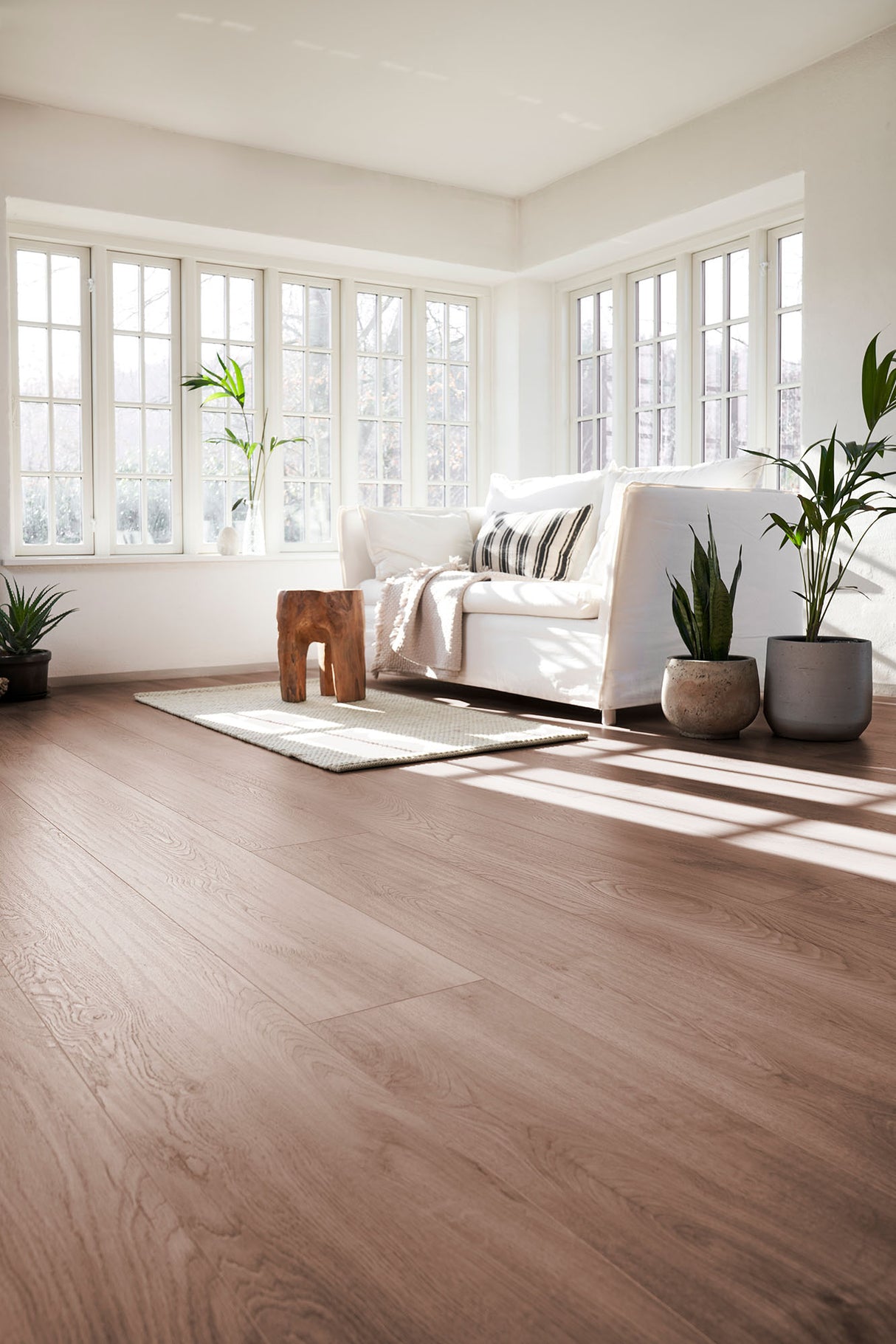 ORGANIC SILENT Light brown 8495