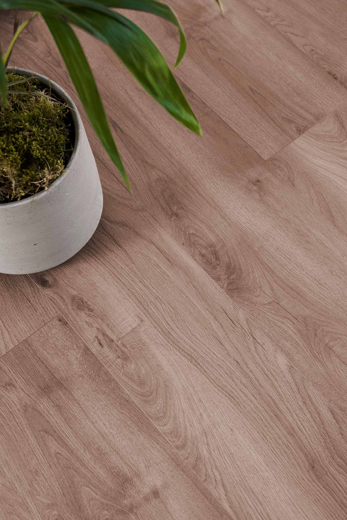 ORGANIC SILENT Light brown 8495