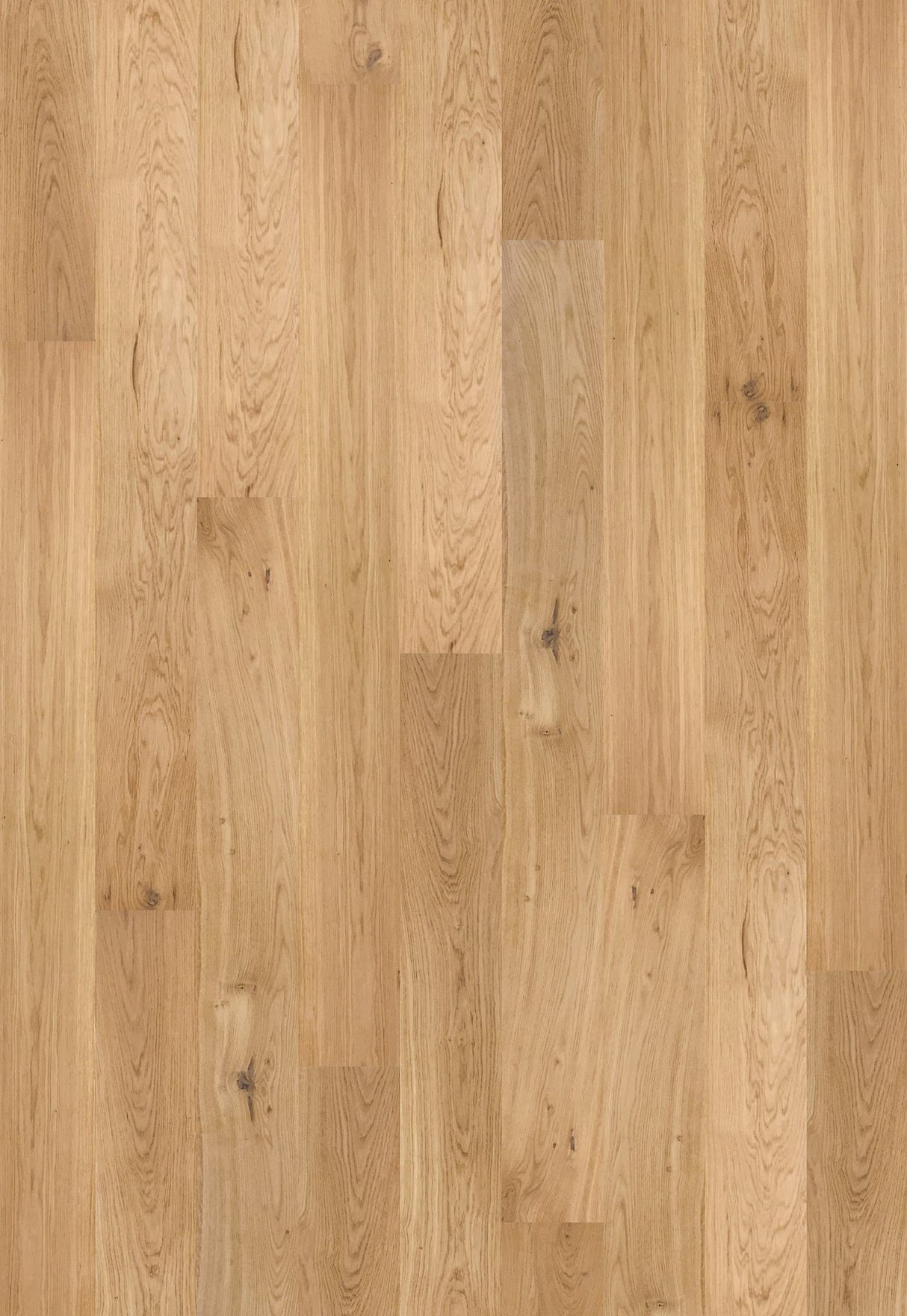 SLOTSPLANK EG ACCENT BØRSTET HVID