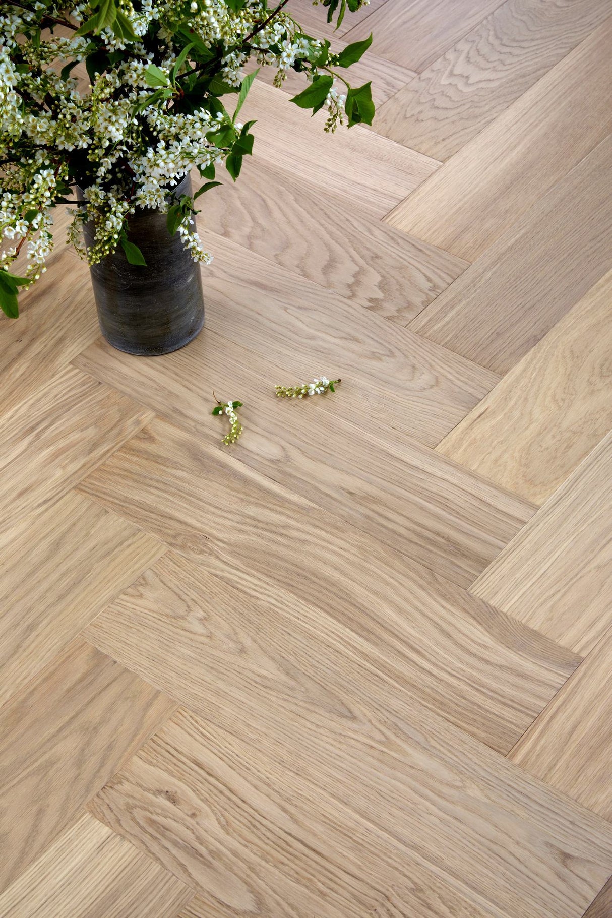 EG SILDEBEN CHARLOTTENLUND HVID