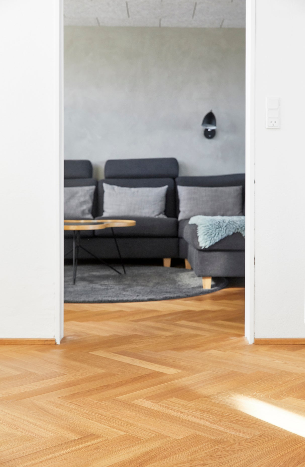 Moland Oxford EG, Olie Classic