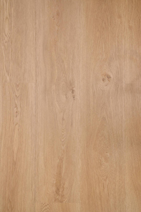 NOVEGO CLASSIC TEXAS OAK