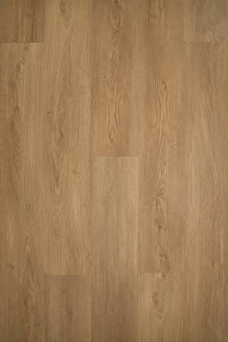 NOVEGO PLUS BIRMINGHAM