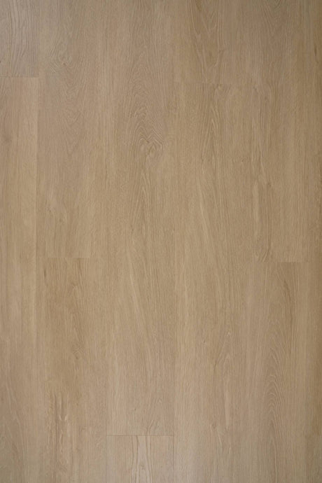 NOVEGO PLUS OXFORD