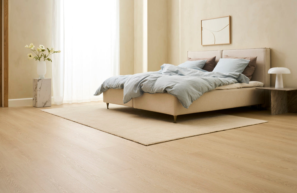 NOVEGO PLUS PRINCETON