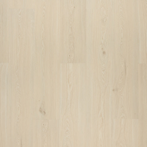 Novego Pro Windsor Light