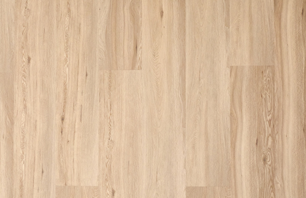 NOVEGO PREMIUM Barbados