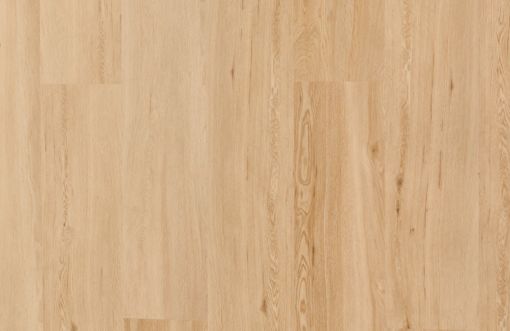 NOVEGO PREMIUM Grenada