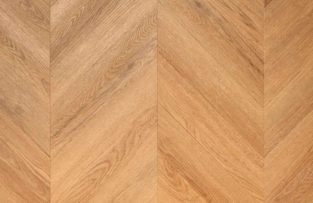 NOVEGO SILDEBEN Chevron Lyon