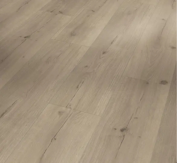 Parador vinyl Basic 5.3 – Eg Infinity grå planke levende struktur