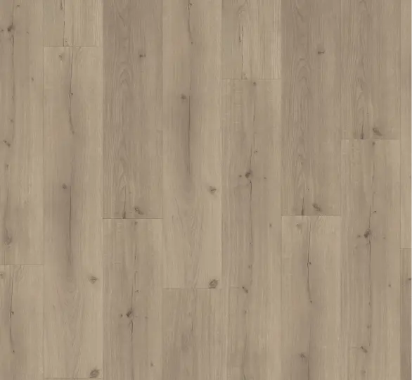 Parador vinyl Basic 5.3 – Eg Infinity grå planke levende struktur