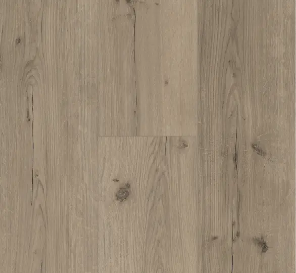 Parador vinyl Basic 5.3 – Eg Infinity grå planke levende struktur