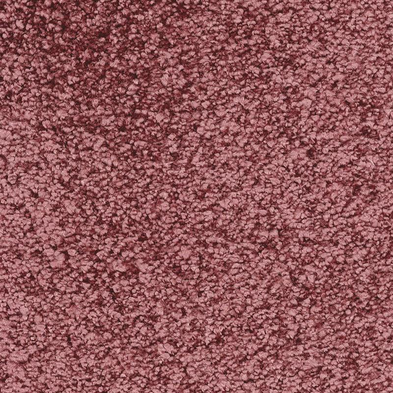 Fletco Bichon 325640