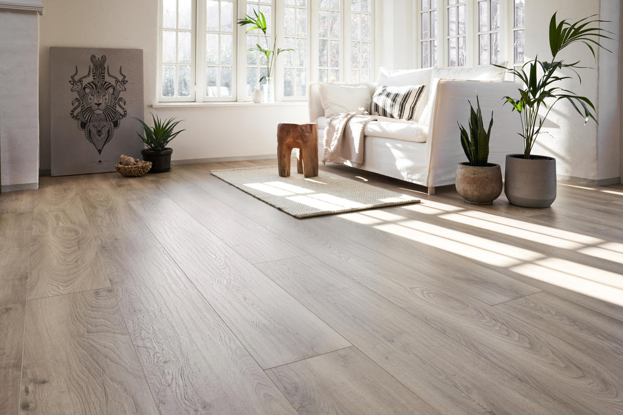 ORGANIC SILENT White oak 354