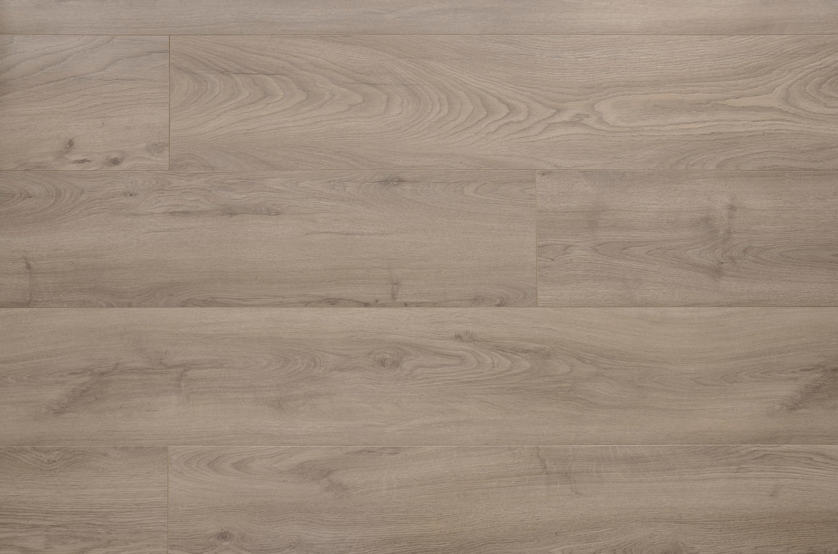 ORGANIC SILENT White oak 354