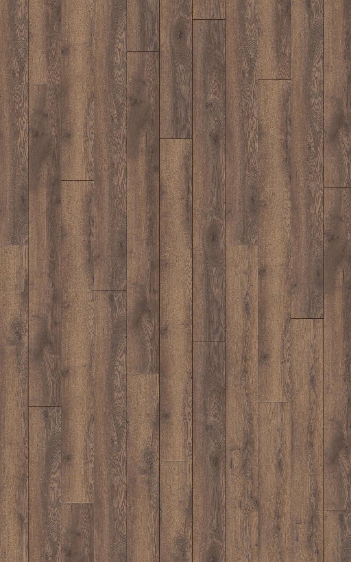 Mammut Eg Mountain natur 4726