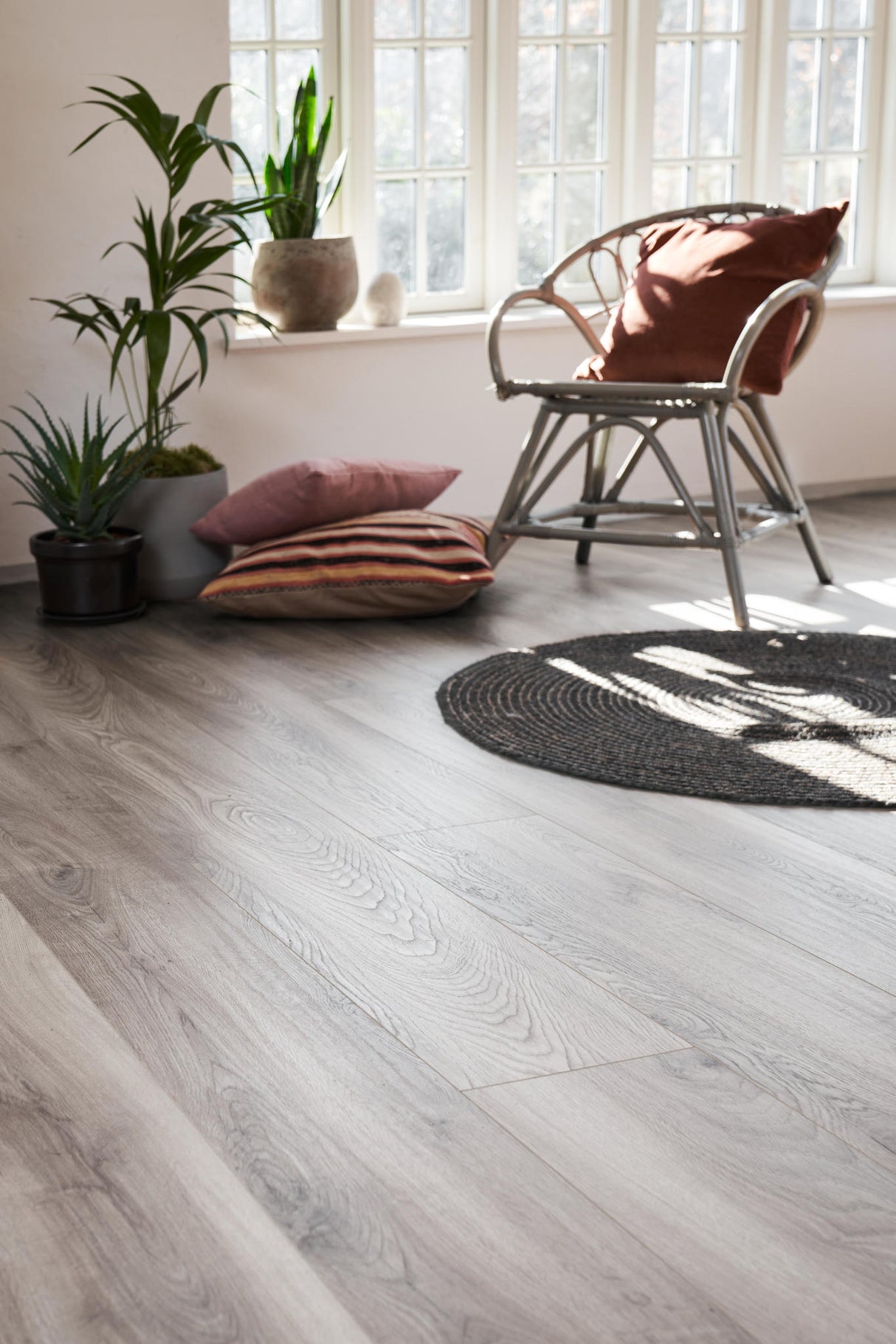 ORGANIC SILENT Grey oak 523