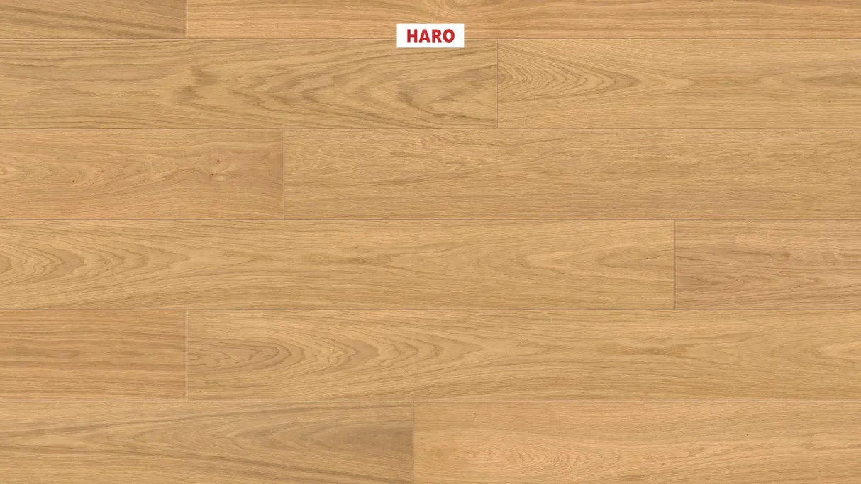 HARO Multivo Plankegulv, Eg Elegant børstet Ultra mat lak