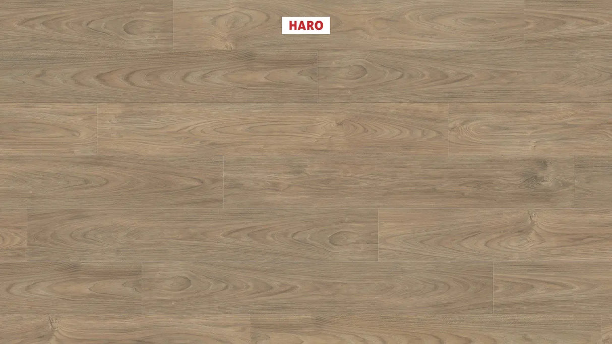 Haro laminatgulv Tritty 100 Korte planker - Elm Vario