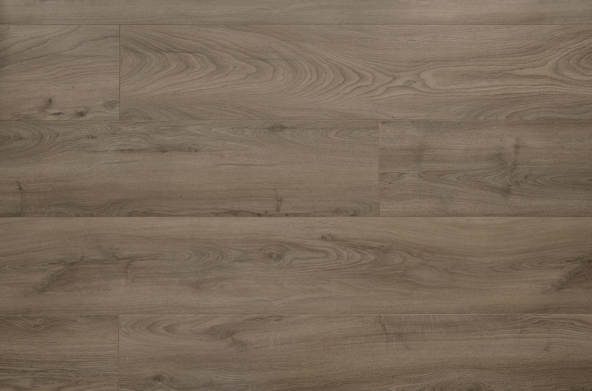 ORGANIC SILENT Drifted oak 582