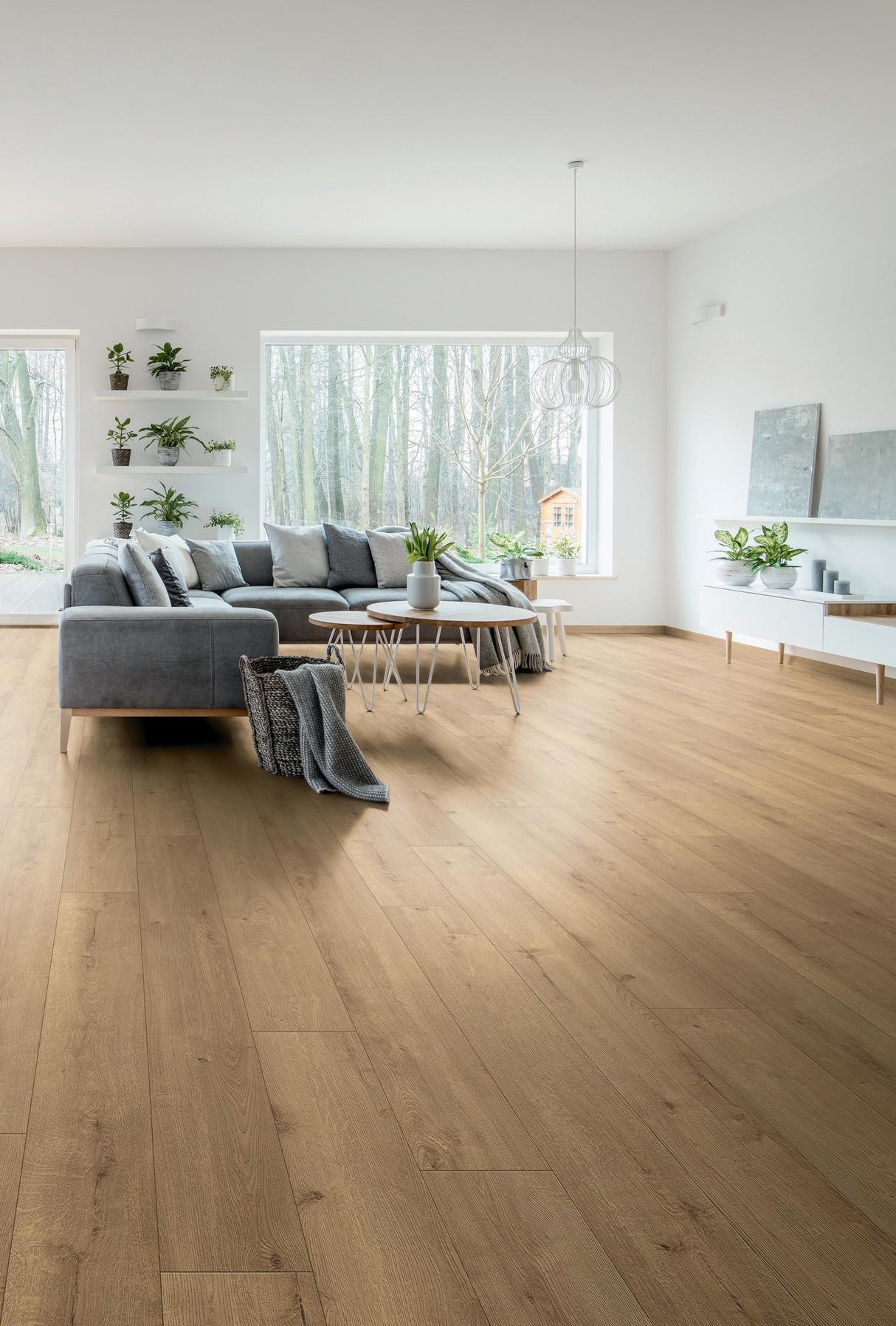 Wallmann Altitude MO.RE Eg Sundance K326