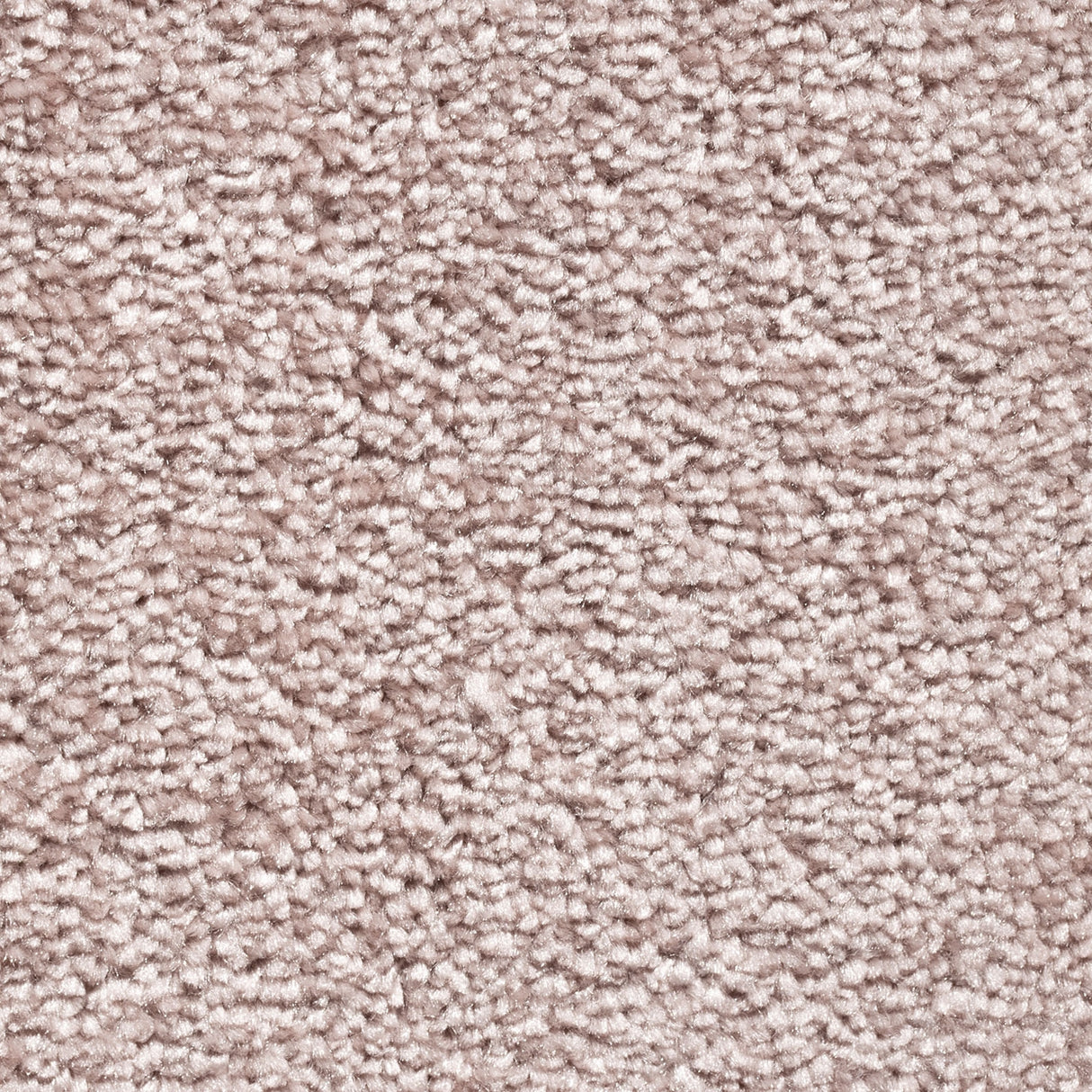 Legacy Koral Ryatæppe