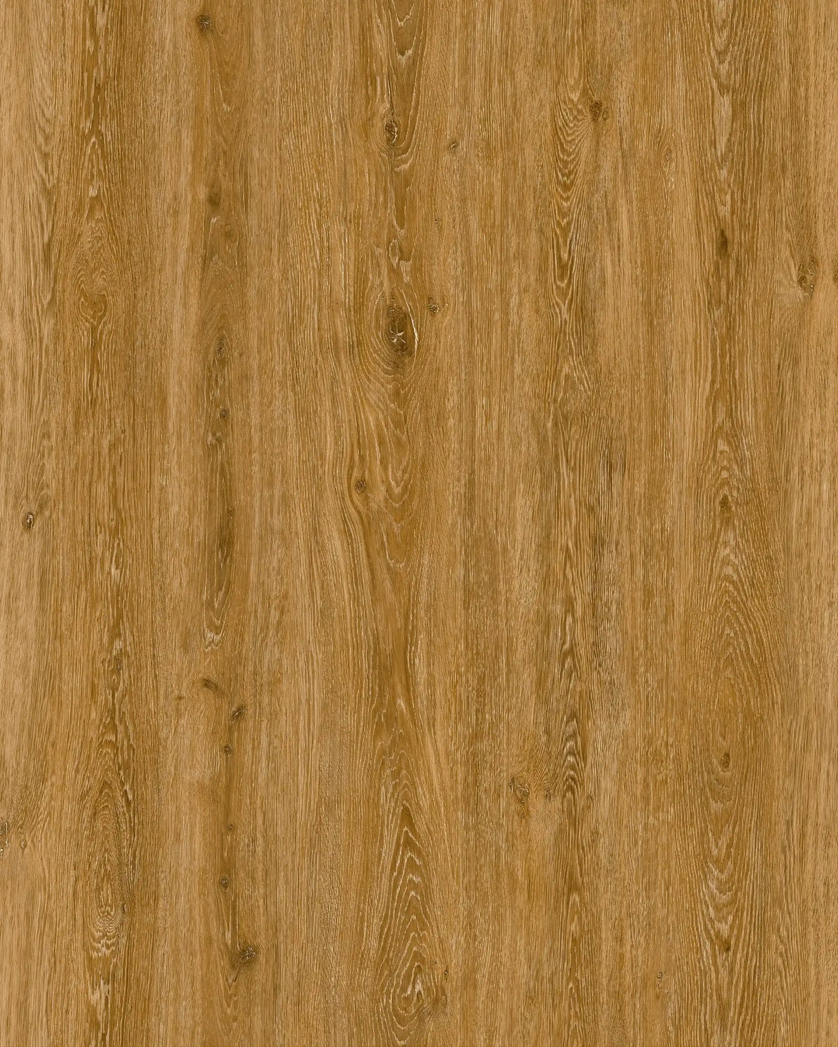 XpertPro SPC LVT Natural Oak