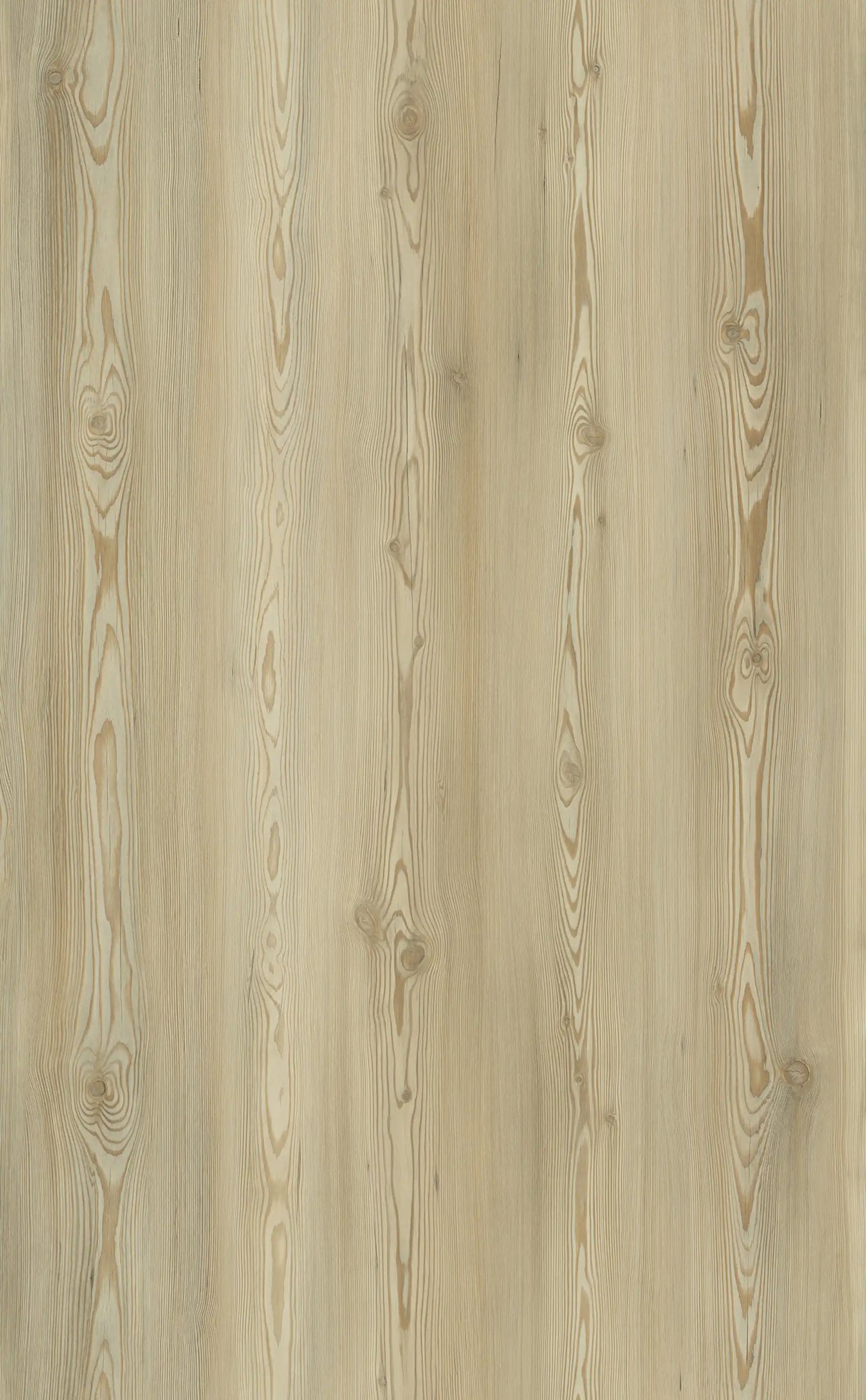 XpertPro SPC LVT Nordic Pine