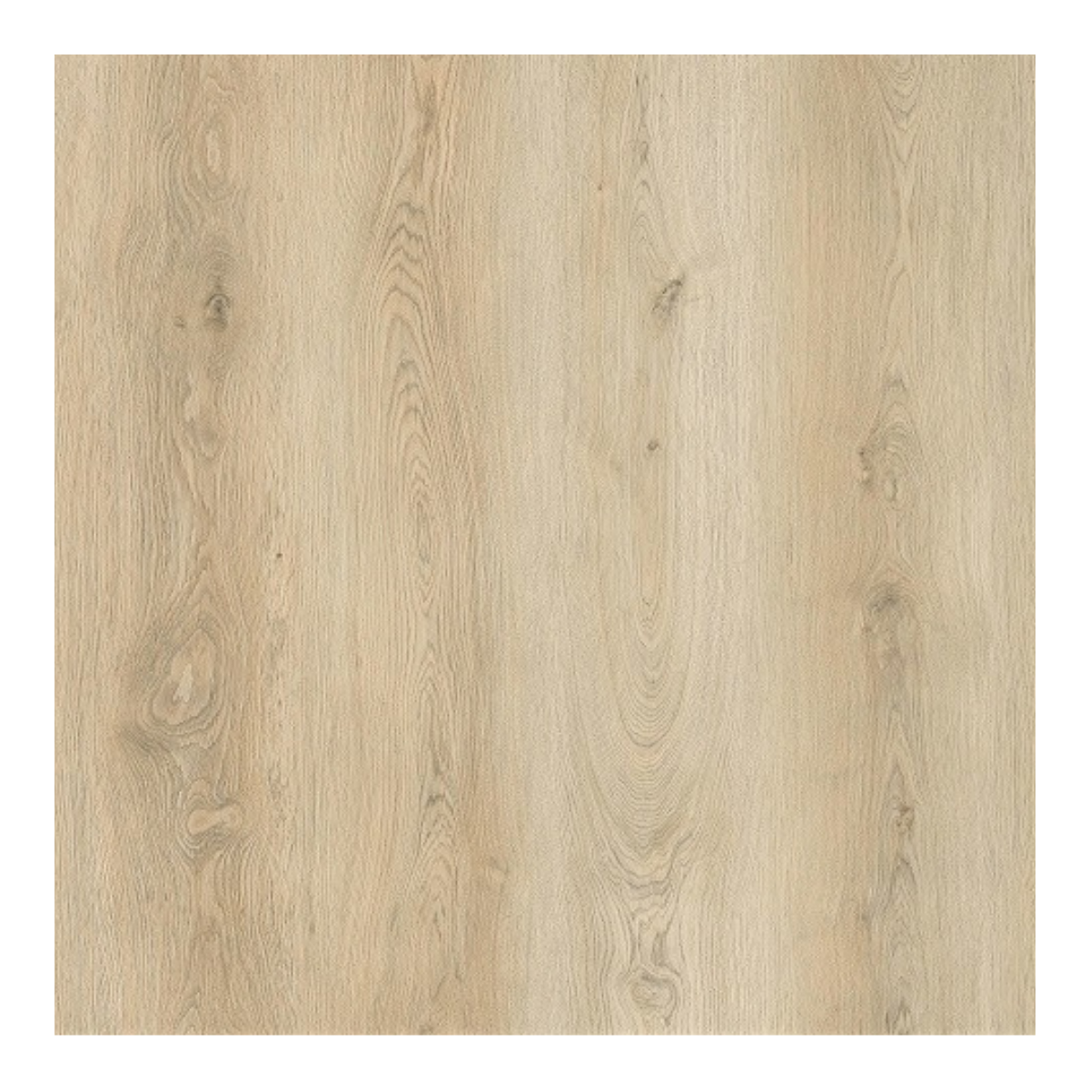 Elite large EKSKLUSIV 10 mm lvt klik m. kork Lys Eg 337