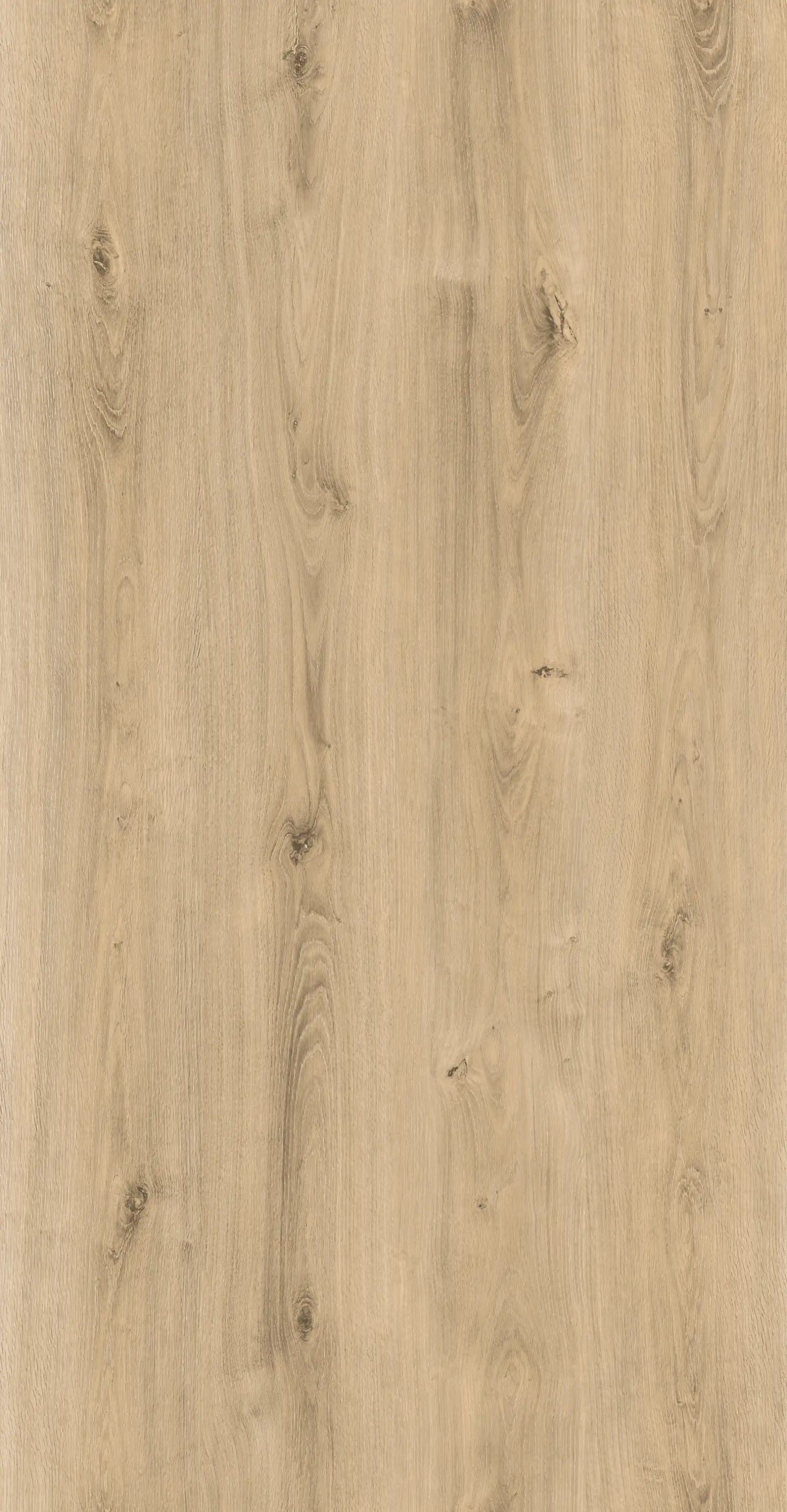 XpertPro SPC LVT European Oak KAMPAGNE