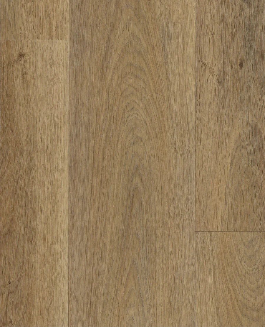 ege planum Acoustic 55 - Royal oak