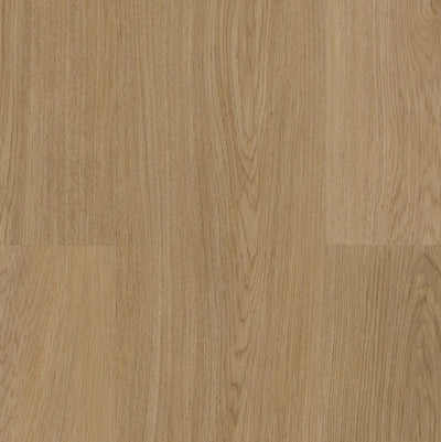 ege planum Acoustic 55 - Natural oak vareprøve