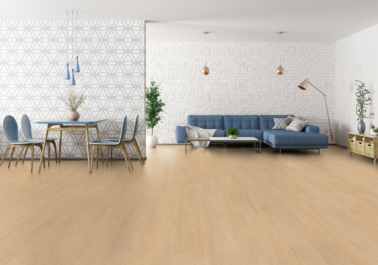 Virtuo Acoustic Click Clear