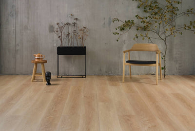 NOVEGO PLUS BRIGHTON vareprøve