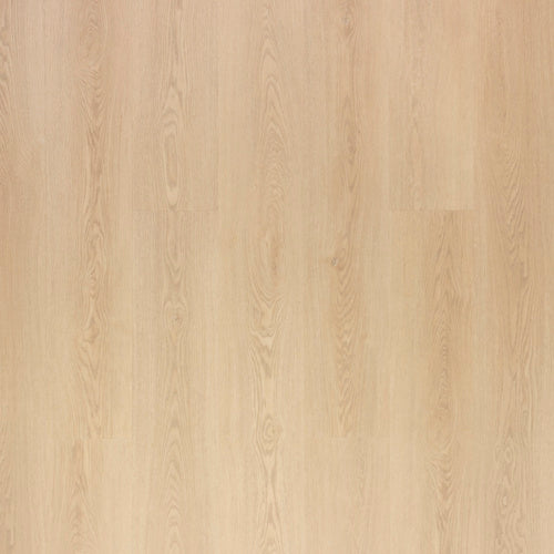 NOVEGO PLUS PRINCETON