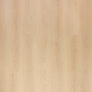 NOVEGO PLUS PRINCETON