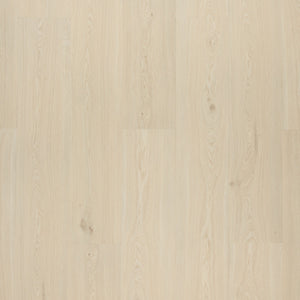 Novego Pro Windsor Light