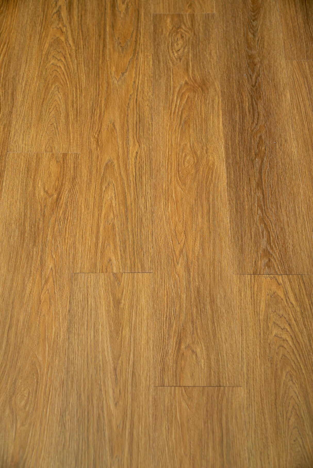 Classic SPC Nordic Nature oak