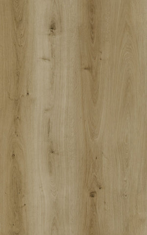 Elite large EKSKLUSIV 10 mm lvt klik m. kork Lys natur 185