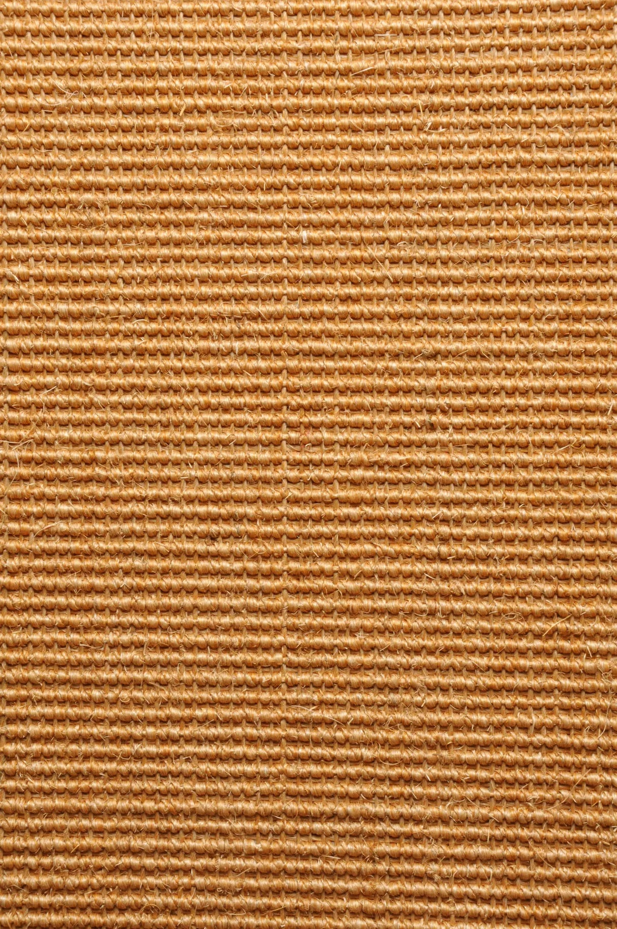 Ege - Sisal Boucle Natur