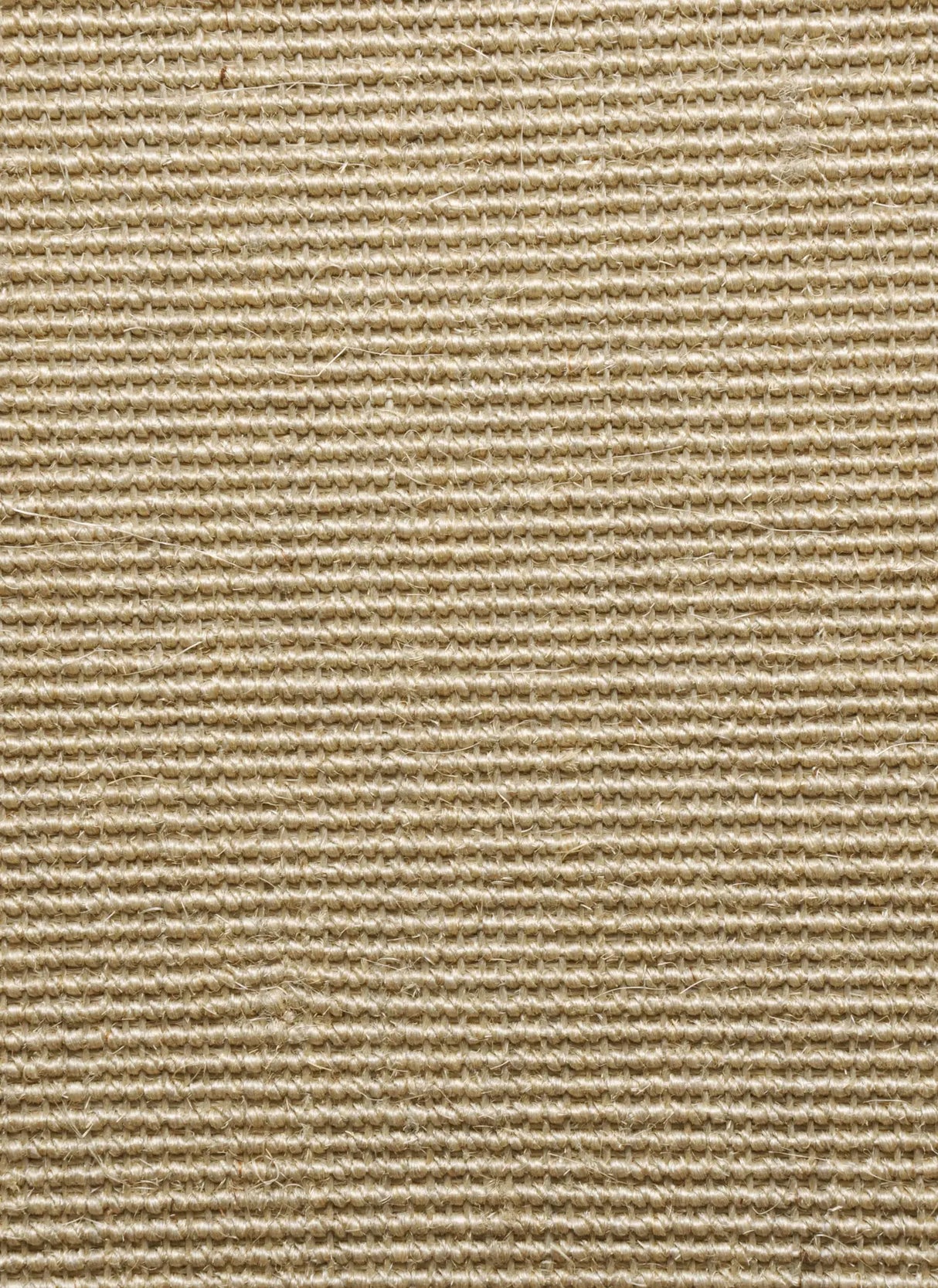 Ege - Sisal Boucle Lys beige