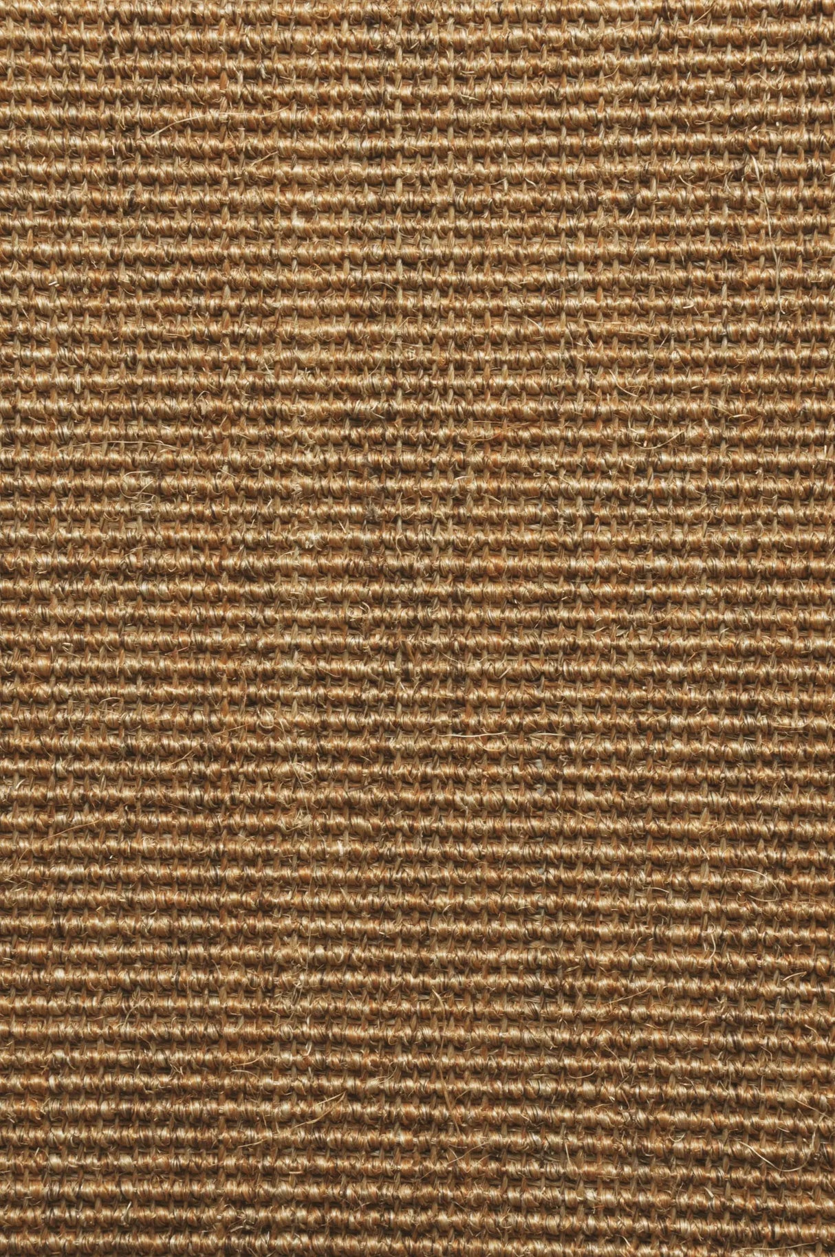 Ege - Sisal Boucle Beige