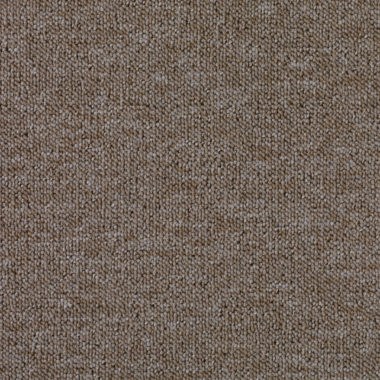 Turbo Beige, Boucle