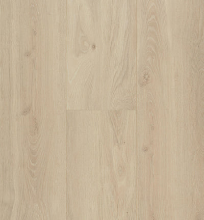 Berry Alloc Connect 8 XL Bloom Sand Natural vareprøve