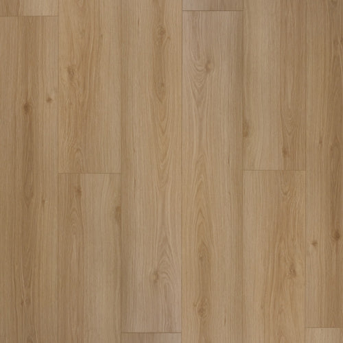 NOVEGO ECO+ EVERGREEN