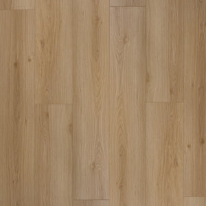 NOVEGO ECO+ EVERGREEN