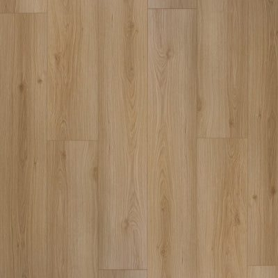 NOVEGO ECO+ EVERGREEN vareprøve